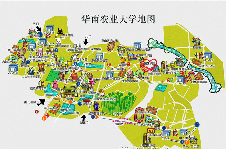 写着这个春天满满的诗——温故华农三月紫荆花节华南农业大学 想起